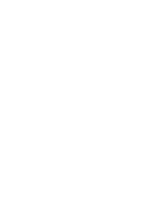 Logo Transparent White