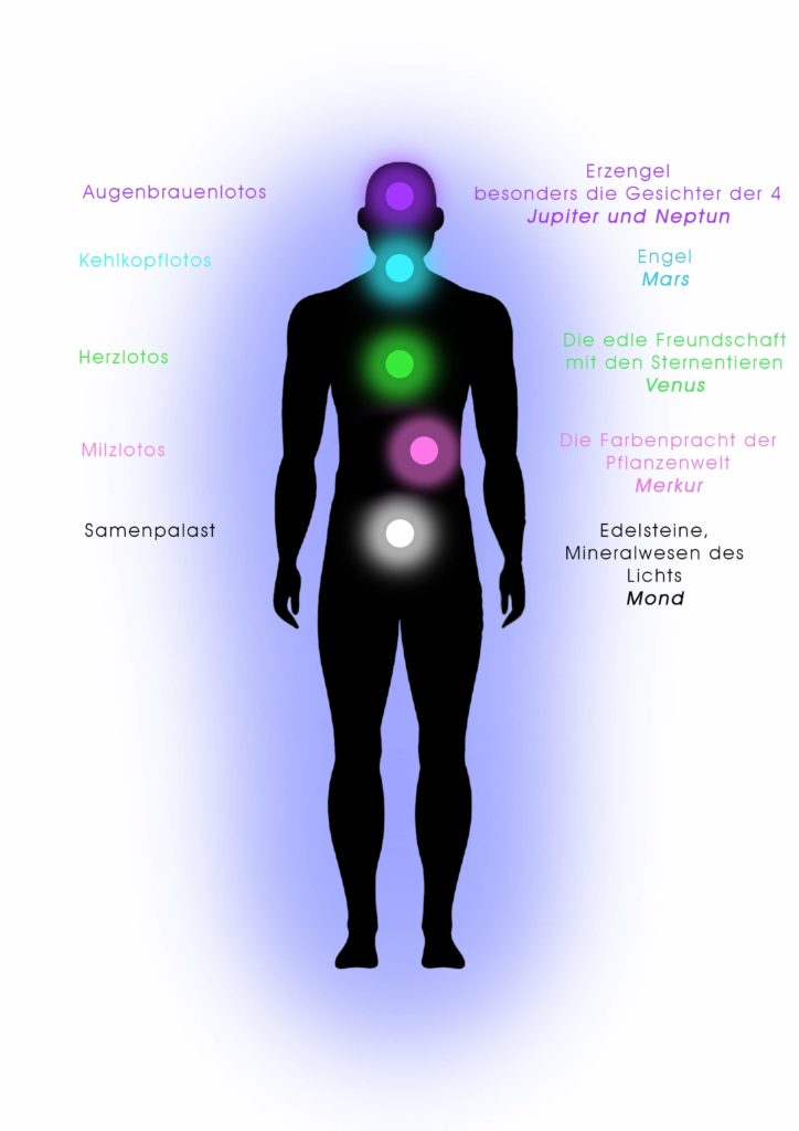 Spirituelle Phönix Konzepte 2
